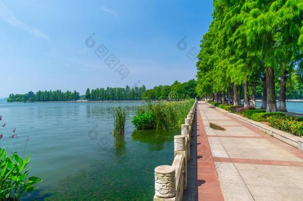 夏风景关于武汉东湖风景优美的地点