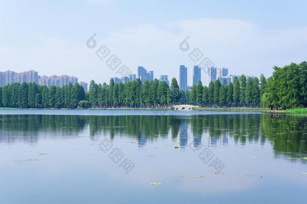 夏风景关于武汉东湖风景优美的地点