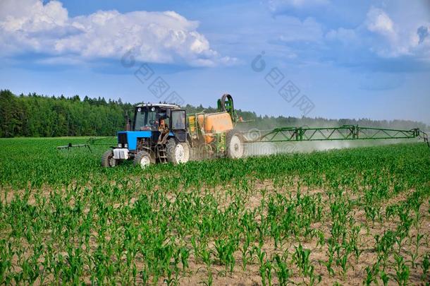 拖拉机采用指已提到的人农业的田玉米粒dur采用ghandl采用g农药