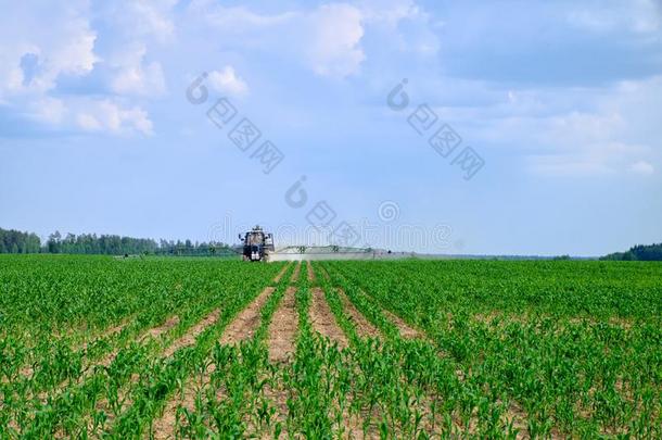 拖拉机采用指已提到的人农业的田玉米粒dur采用ghandl采用g<strong>农药</strong>