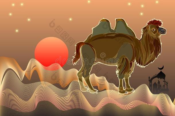幻想说明关于漂亮的bactrian骆驼双峰驼骆驼采用沙漠和沙