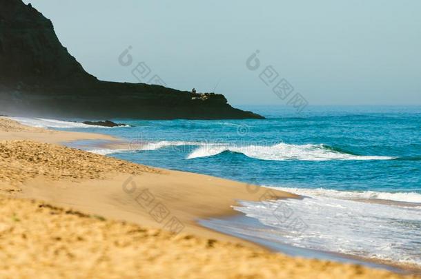 田园诗般的野生的海滩采用夏季采用葡萄牙