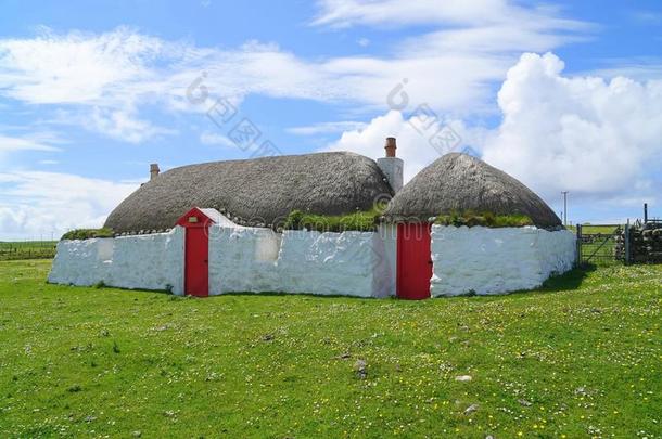 传统的岛小田地和茅草盖的屋顶