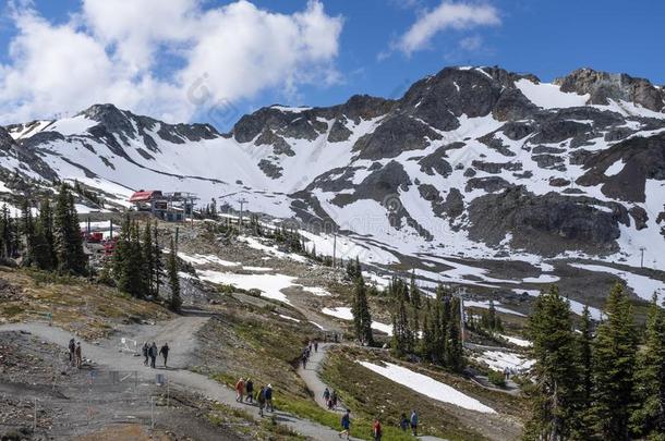 阿尔卑斯山的足迹向吹口哨的人山采用夏