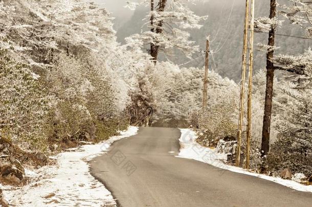 有风的下雪的有雾的狡猾的泥泞的<strong>平</strong>的<strong>步</strong>喜玛拉雅的山Romania罗马尼亚