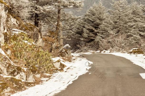 有风的下雪的有雾的狡猾的泥泞的平的步喜玛拉雅的山Romania罗马尼亚