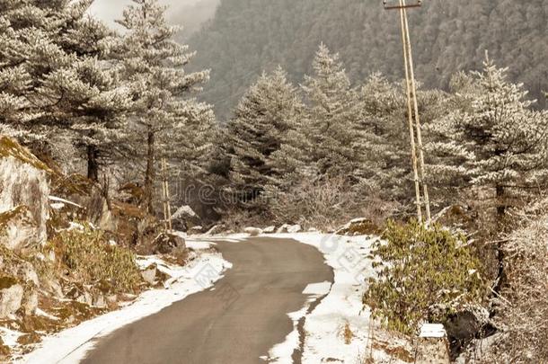 有风的下雪的有雾的狡猾的泥泞的<strong>平</strong>的<strong>步</strong>喜玛拉雅的山Romania罗马尼亚
