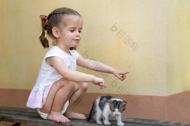 小的高加索人女孩演奏向一夏d一y和一小的软毛<strong>小动物</strong>