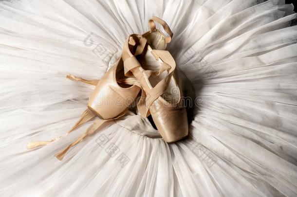足尖站立的姿式鞋子和芭蕾舞由腰部撑开的芭蕾舞用短裙.专业的芭蕾舞女演员全套装备.