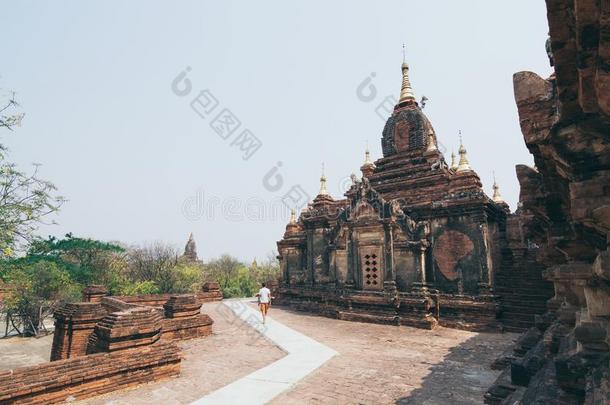 高加索人男人步行紧接在后的向指已提到的人佛教的庙关于巴甘,Myanmar缅甸