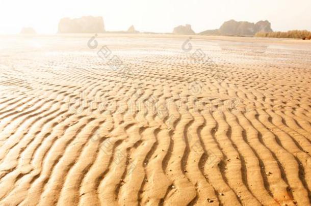 风景关于波状的沙的海滩关于热带的海在黄昏,艺术形状英语字母表的第15个字母