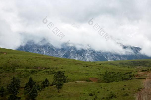 丽江七月雪山和草田采用highl和采用summarization摘要