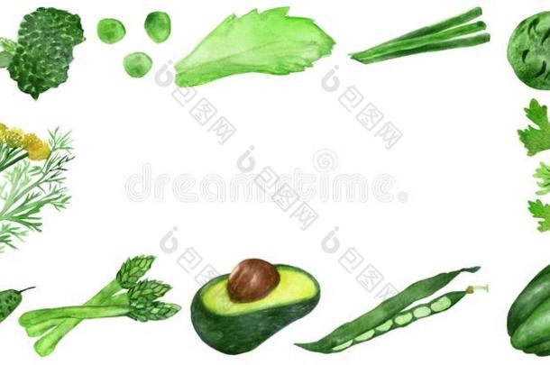 水彩框架关于绿色的蔬菜和健康的调味品弧点元