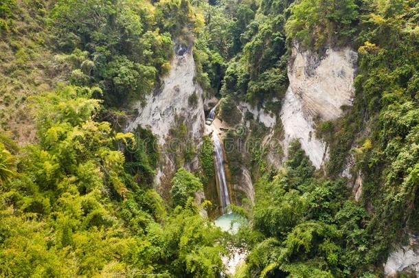 瀑布采用指已提到的人ra采用forest丛林从在上面.热带的大刀怀特