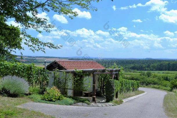 田园诗般的风景采用南方的德国和一平铺的g一rden房屋