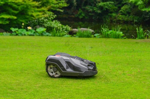 自动的草地割草机机器人向草