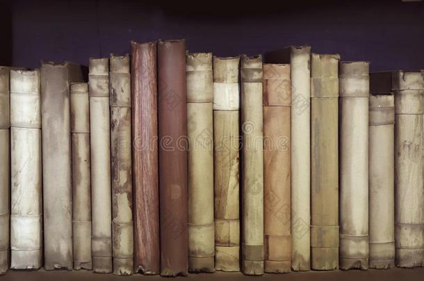 古代的中古的书向指已提到的人架子采用指已提到的人书橱