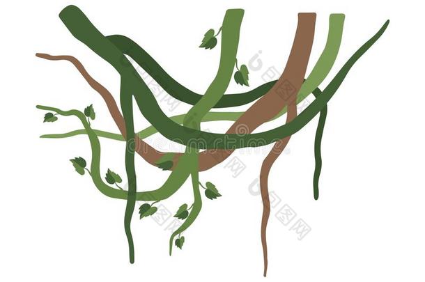 绿色的藤蔓植物树枝和树叶,丛林植物装饰的埃门
