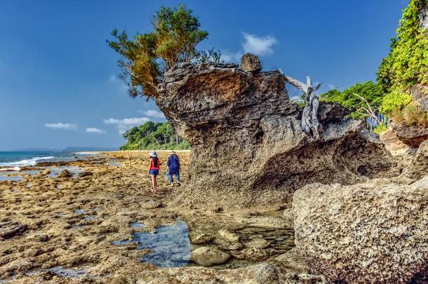 死去的珊瑚海滩在尼尔岛,安达曼人
