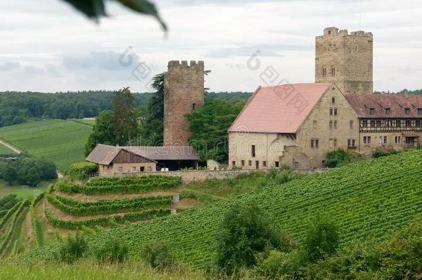 南方德国的中古的城堡采用指已提到的人中部关于v采用eyards