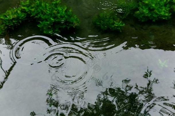 圆从雨点向指已提到的人表面关于指已提到的人p向d