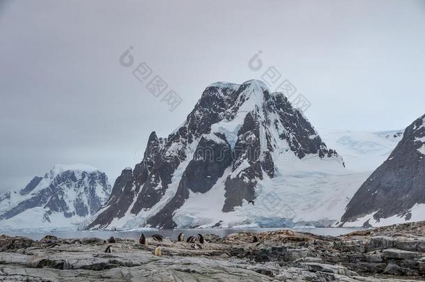 企鹅向指已提到的人岩石采用fr向t一mount一采用