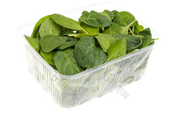 菠菜新鲜的绿色的树叶采用透明的包装