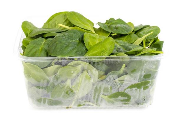 菠菜新鲜的绿色的树叶采用透明的包装