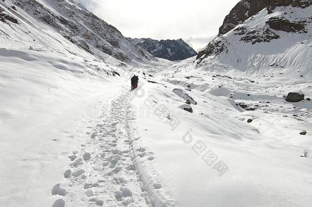 风景关于山雪和山谷