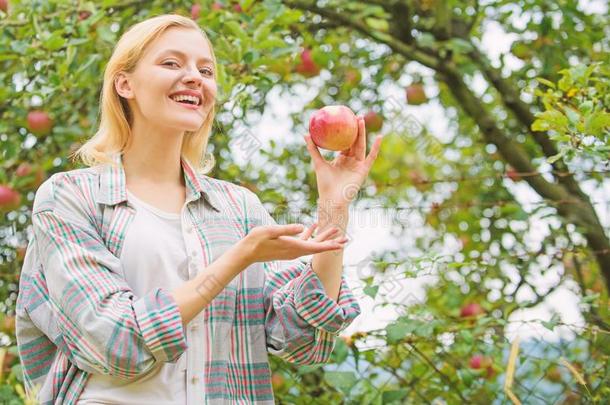 秋季节采用果园.果园,园丁女孩采用苹果花园