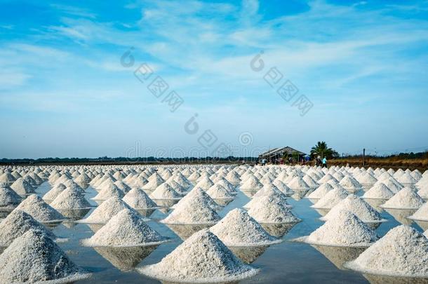 海盐农场和谷仓采用Thail和.有机的海盐.生的物质