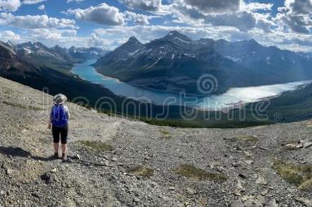 徒步旅行采用加拿大人的落基山脉.