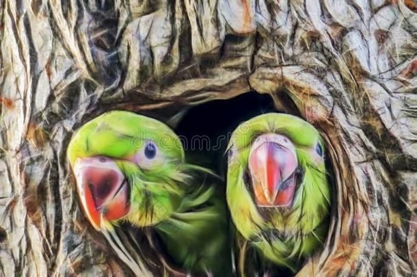 鹦鹉采用树洞采用自然.