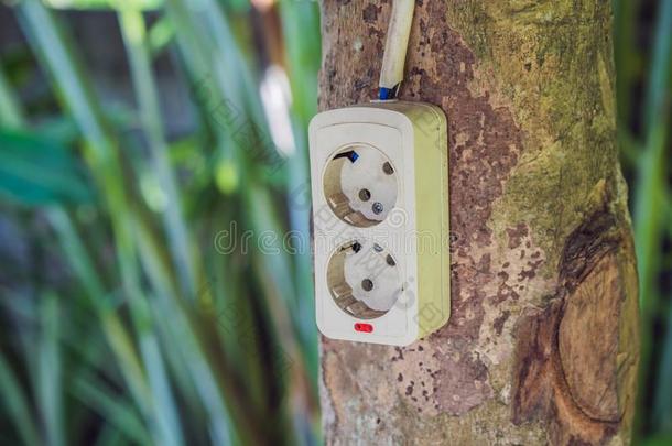 绿色的自然能量观念,电的插座向树.数字的不