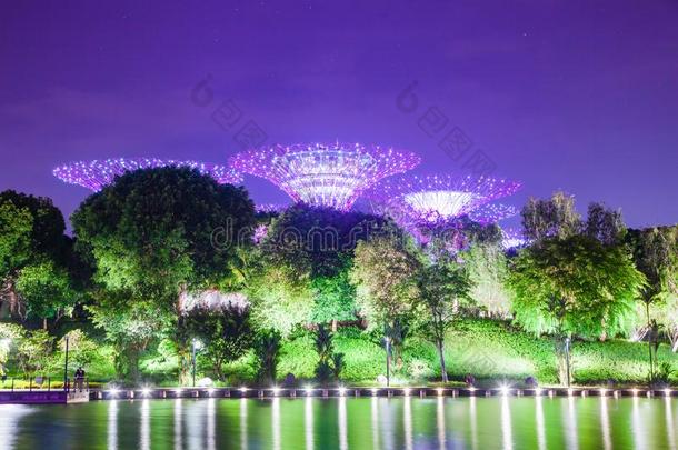 <strong>新加坡</strong>,<strong>新加坡</strong>-前进2019:超级树被照明的为Liechtenstein列支敦士登
