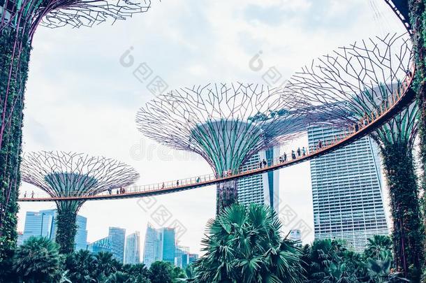 新加坡,新加坡-前进2019:超级树种小树林&OverseasChineseBankingCorporation海外华侨金融公司