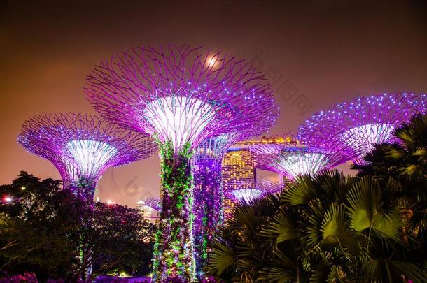 <strong>新加坡</strong>,<strong>新加坡</strong>-前进2019:超级树被照明的为Liechtenstein列支敦士登