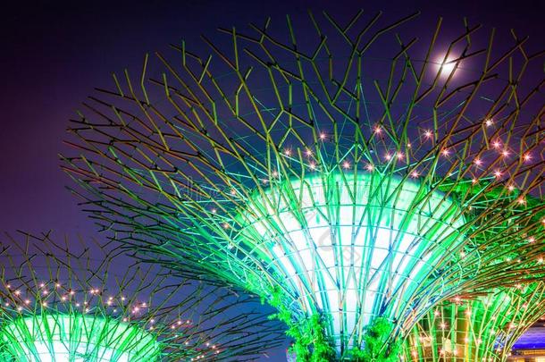 新加坡,新加坡-前进<strong>2019</strong>:<strong>超级</strong>树被照明的为Liechtenstein列支敦士登