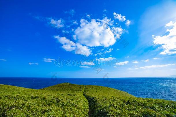 <strong>宫崎骏</strong>岬在近处指已提到的人蓝色洋采用阿玛米大岛卡戈什