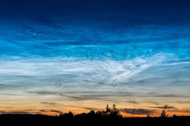 罕见的生物发光的云也大家知道的同样地银云采用指已提到的人夜