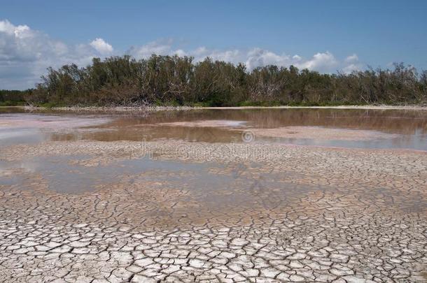 economy经济池塘采用Evergles<strong>国家</strong>的公园采用Florida佛罗里达<strong>国家</strong>公园的沼泽地<strong>国家</strong>的公园采用极端的干旱.