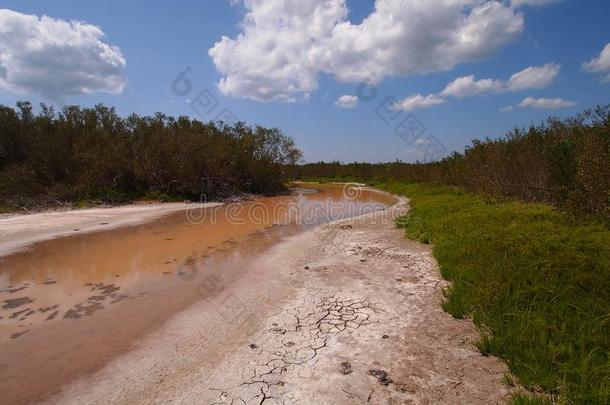 economy经济池塘采用Evergles国家的公园采用Florida佛罗里达国家公园的沼泽地国家的公园采用极端的干旱.