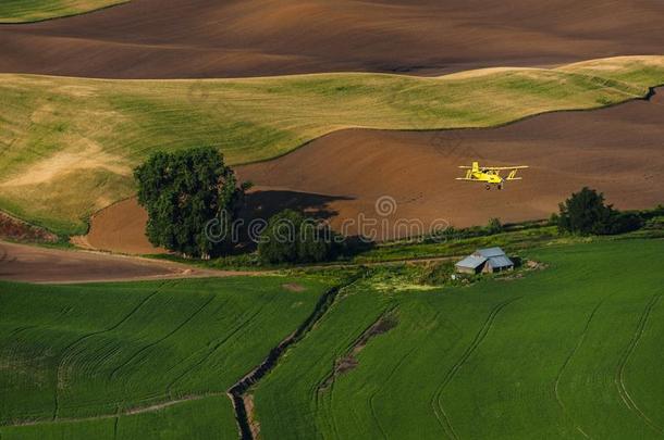 黄色的双翼飞机农作物抹布飞行的越过农田.