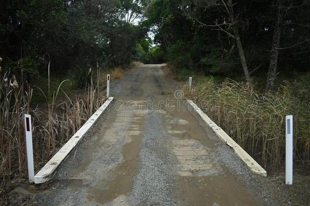 单一的小路木制的桥采用未开垦森林地带