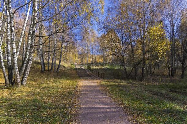 人行道采用指已提到的人森林公园.和煦的：照到阳光的秋一天