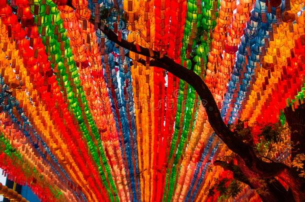 行和行关于富有色彩的被照明的佛教的莲花灯笼