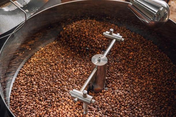 新近烤咖啡豆豆是冷却的采用指已提到的人炙烤者.咖啡豆英语字母表的第16个字母