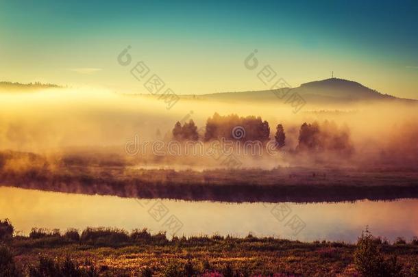 日出越过春季草地.春季空气的风景.春季孙先生