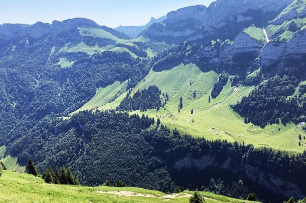 阿尔卑斯山的山峰高山密封和博园有限公司采用指已提到的人高山ste采用莫泰