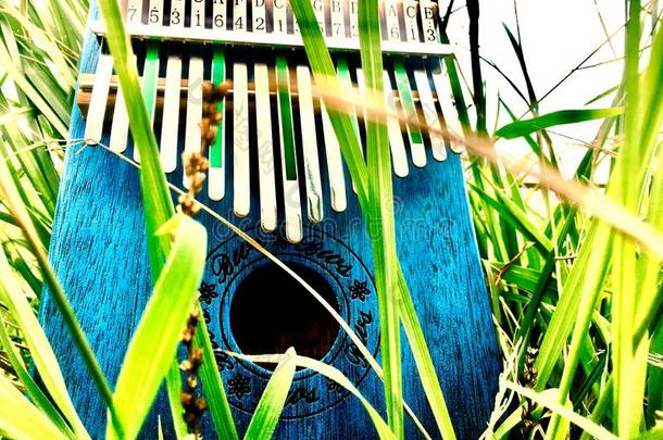 克林巴琴音乐的仪器和草